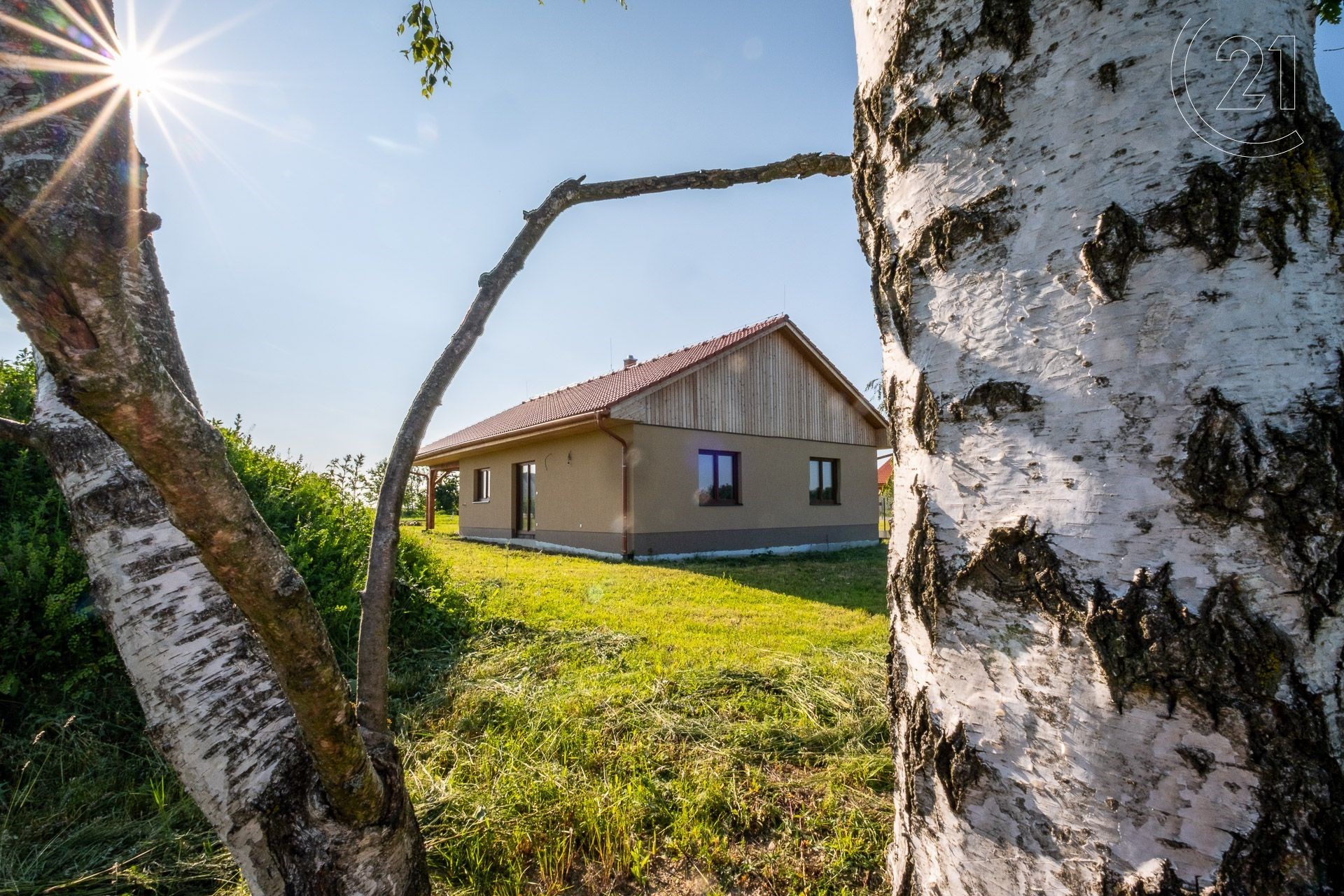 RD2 Dobšice vzrostlé stromy na pozemku