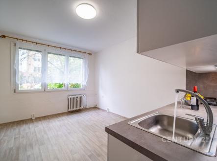 Pronájem bytu, 1+kk, 21 m²