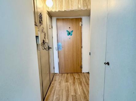 Obrázek WhatsApp, 2025-06-23 v 09.36.11_df0c13b1.jpg