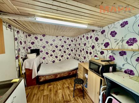 Prodej - pozemek, zahrada, 389 m²