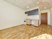 Pronájem bytu, 1+1, 36 m²