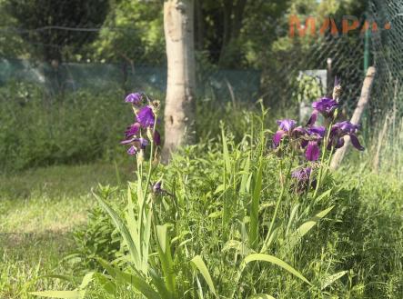 Prodej pozemku, zahrada, 447 m²