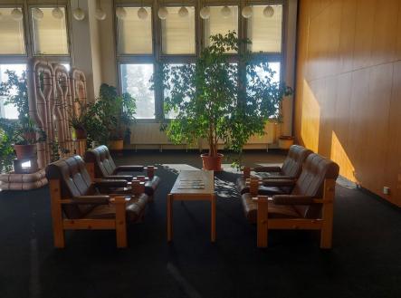 Pronájem kanceláře, 20 m²