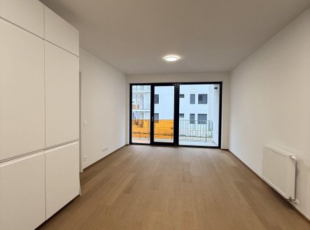 Pronájem bytu, 2+kk, 50 m², Praha – náhled fotky 3
