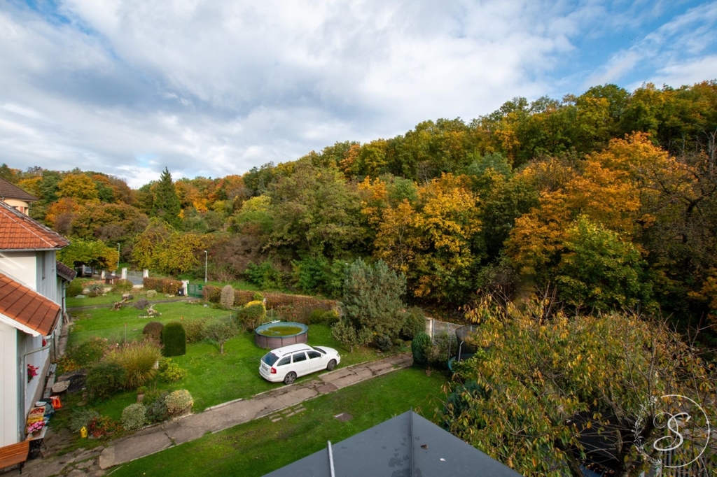 Fotku se nepodařilo načíst.