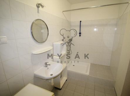 Pronájem bytu, 1+1, 36 m²