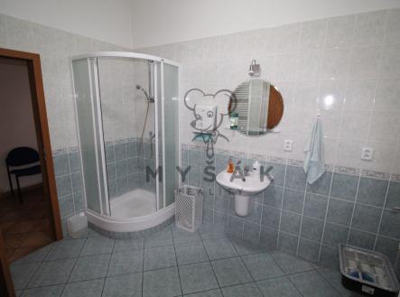 Pronájem bytu, 4+1, 100 m²