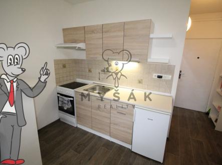 Pronájem bytu, 1+kk, 21 m²