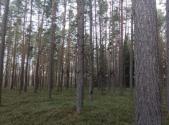 Prodej pozemku, les, 18 645 m²