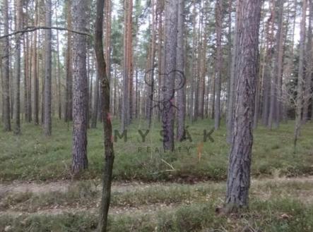 Prodej pozemku, les, 18 645 m²