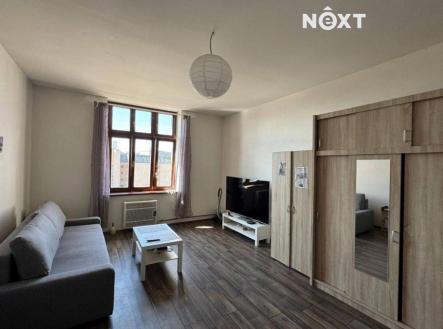 Pronájem bytu, 1+1, 56 m²