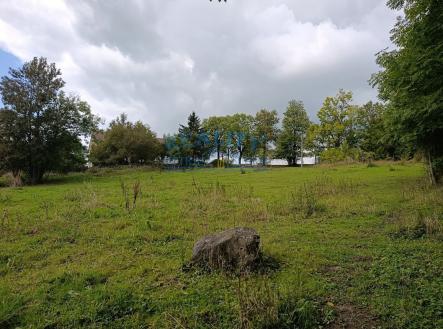 Prodej pozemku pro bydlení, 3 539 m²