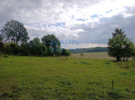 Prodej pozemku pro bydlení, 3 539 m²