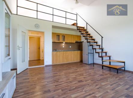 Pronájem bytu, atypický, 41 m²