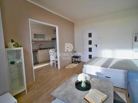 Pronájem bytu, 1+1, 42 m²