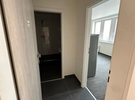 Pronájem bytu, 1+kk, 26 m²