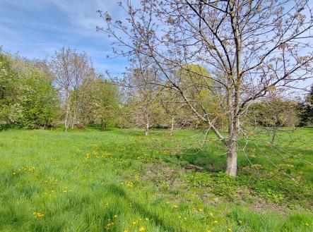 Prodej pozemku pro bydlení, 1 837 m² obrázek