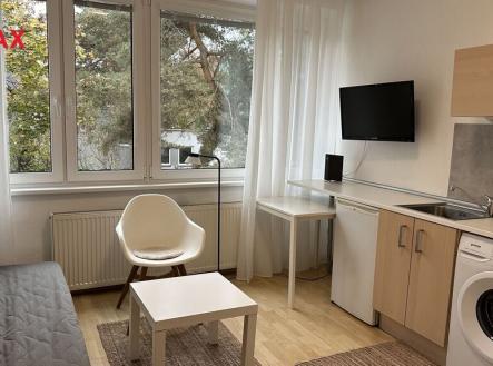 Pronájem bytu, 1+kk, 20 m²