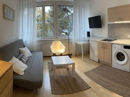 Pronájem bytu, 1+kk, 20 m²