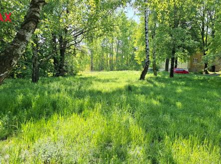 Prodej pozemku pro bydlení, 46 126 m²