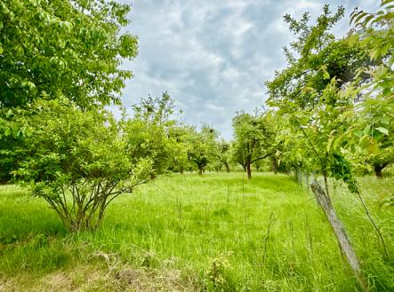 Prodej pozemku pro bydlení, 8 311 m²