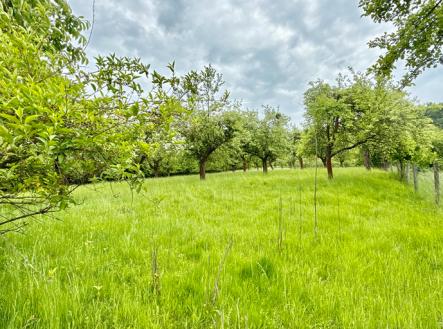 Prodej pozemku pro bydlení, 8 311 m²