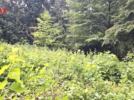 Prodej pozemku, zahrada, 462 m²