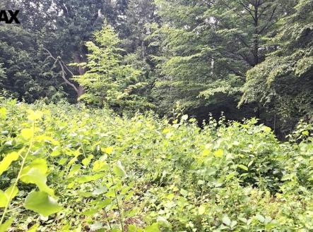 Prodej pozemku, zahrada, 462 m²