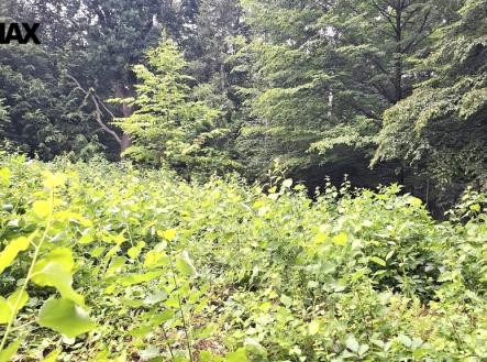 Prodej pozemku, zahrada, 462 m²