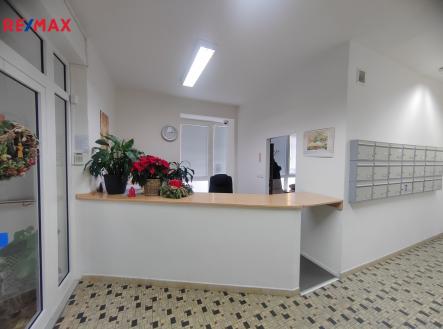 Pronájem kanceláře, 18 m²