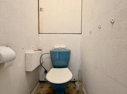 img-6018.jpeg