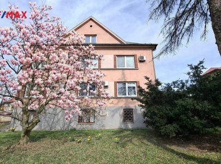 Pronájem kanceláře, 25 m²