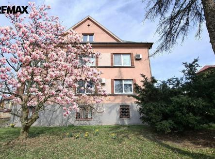 Pronájem kanceláře, 25 m²