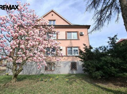 Pronájem kanceláře, 25 m²