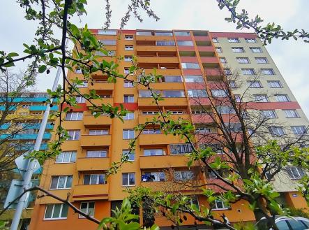 Prodej bytu, 1+1, 42 m²