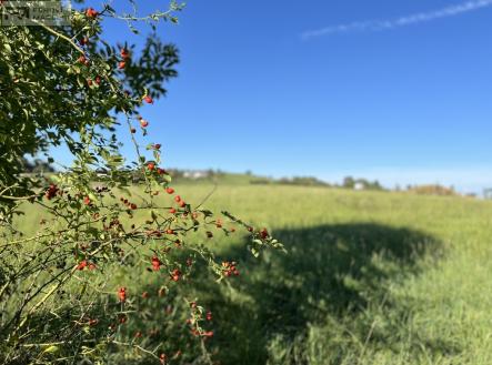 Prodej pozemku pro bydlení, 1 541 m²