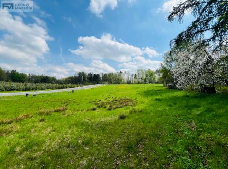 Prodej pozemku pro bydlení, 1 090 m² obrázek