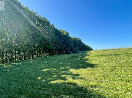 Prodej pozemku pro bydlení, 2 292 m²