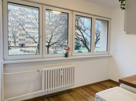 Pronájem bytu, 1+1, 34 m²