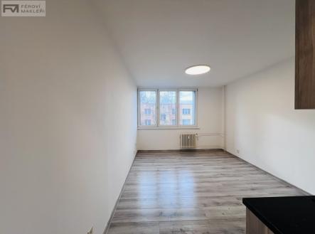 Pronájem bytu, 1+kk, 24 m²