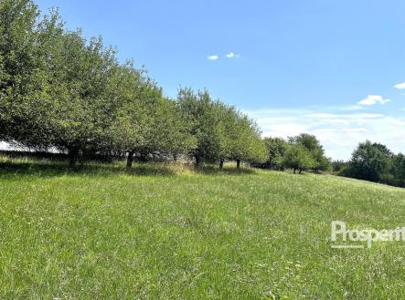 Prodej - pozemek, trvalý travní porost, 8 064 m²
