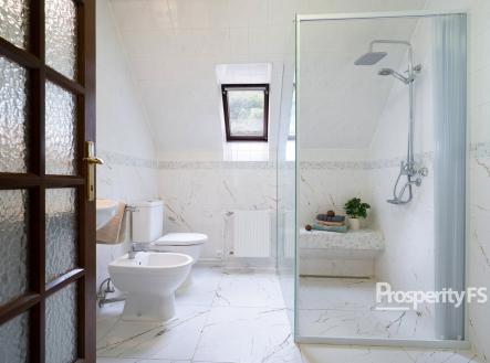 Prodej domu/vily, 319 m²