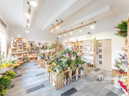 Prodej domu/vily, 658 m²