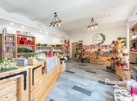 Prodej komerčního objektu, jiný, 198 m²