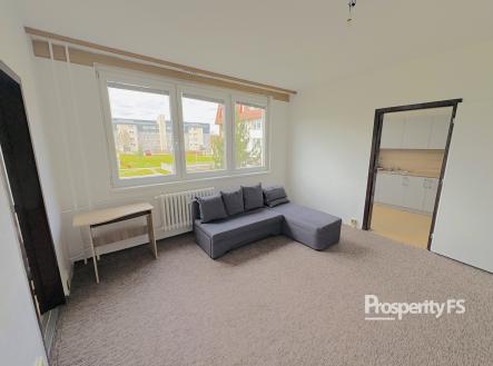 Pronájem bytu, 2+1, 455 m²