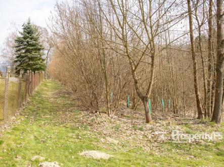 Prodej pozemku, les, 2 712 m²