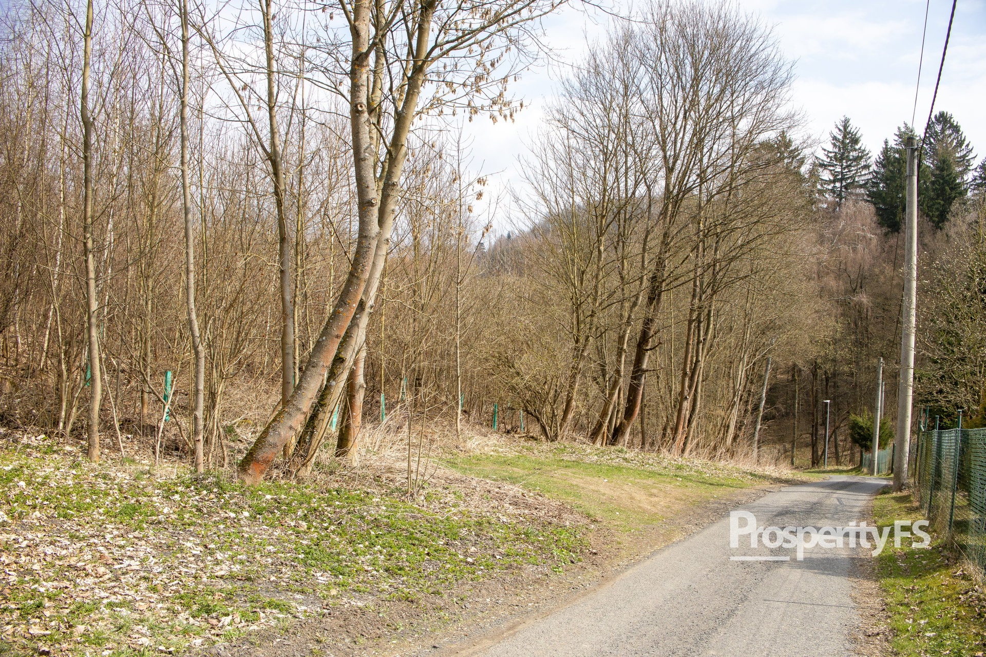 Prodej souboru pozemků 2 712 m² – Příkrá, Železný Brod