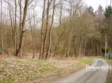 Prodej pozemku, les, 2 712 m²