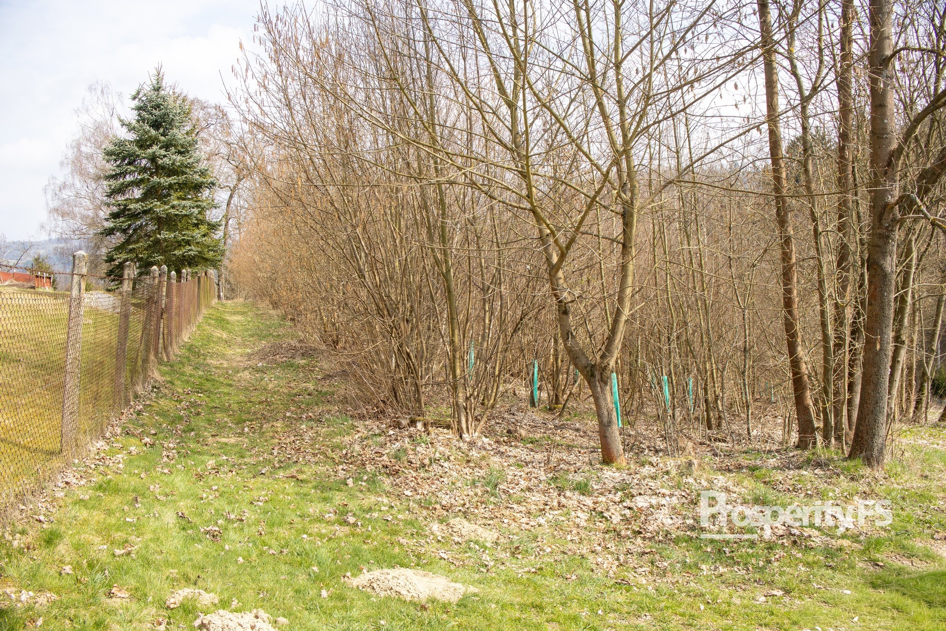 Prodej pozemků 2 712 m² – Příkrá, Železný Brod