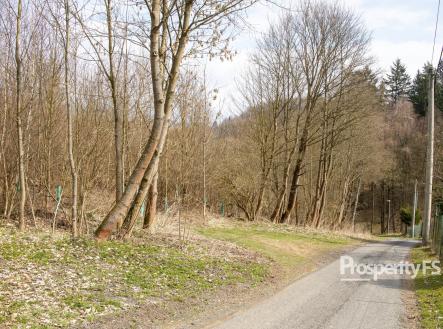 Prodej pozemku, les, 2 712 m²